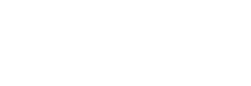 Aster Guitars By Aster Workshop Handmade in Shizuoka,Japan